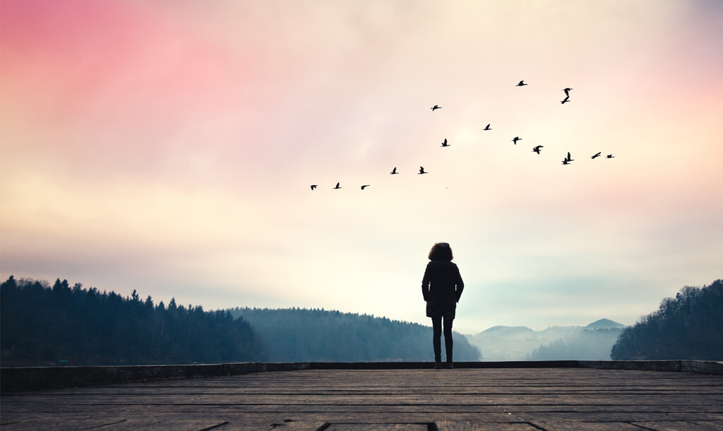 Tranquil scene with person staring into a peaceful sky. Birds flying.