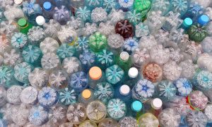 Pictures of used plastic bottles