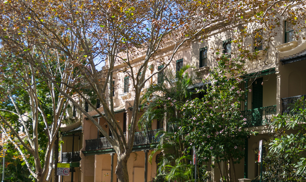 A view of leafy Potts Point