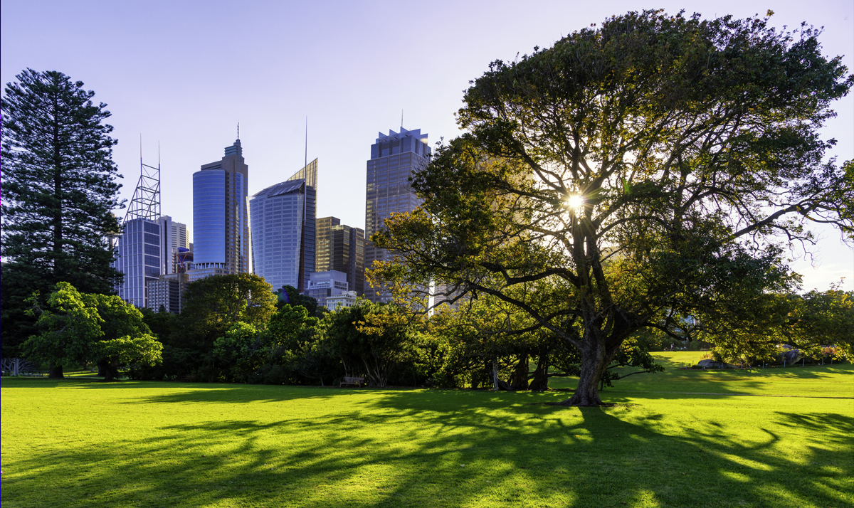 An image of a green space in Sydney